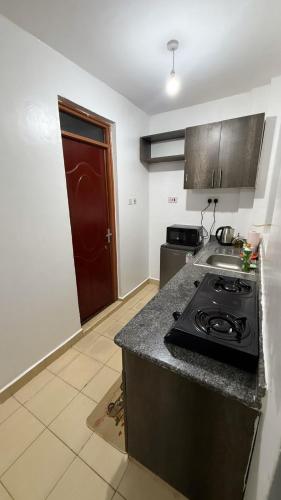 Studio 103 New Kitisuru near Kenya School of Gov in ลอร์โช