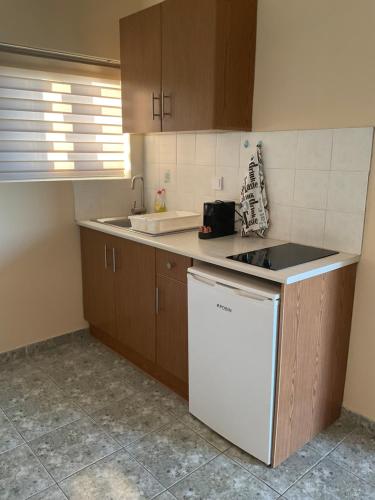 Maria Anastasia Studios 2