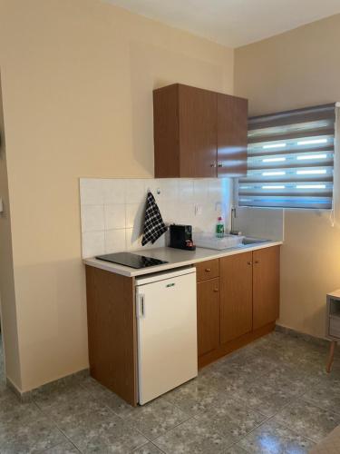 Maria Anastasia Studios 5