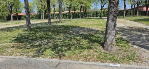 Sleeps 16