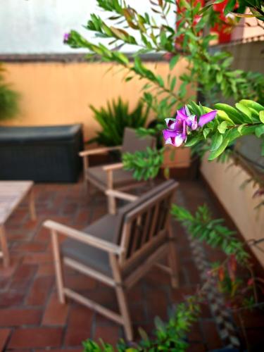 Apartment with Terrace image 2