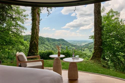 Kilátás, Maison Zugno Hotel & Spa in Poligny