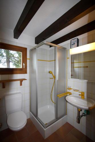 Chalet Rainier in Nendaz, Schweiz