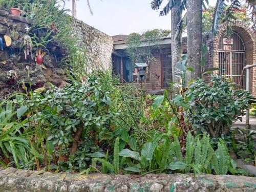 Garten, The Airport Lodge - East London in East London