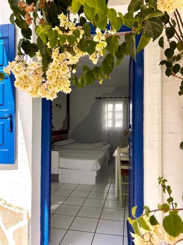 Jasmine of Cyclades 2