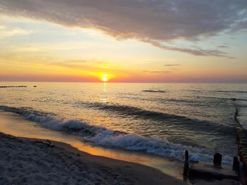 沙灘, Domki Nadmorska Oaza in 舒洛比