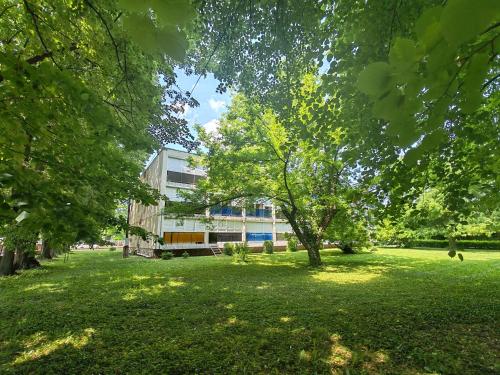 Сад, Orchidea apartman in Харкань