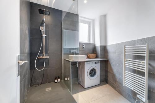One-Bedroom Apartment image 8