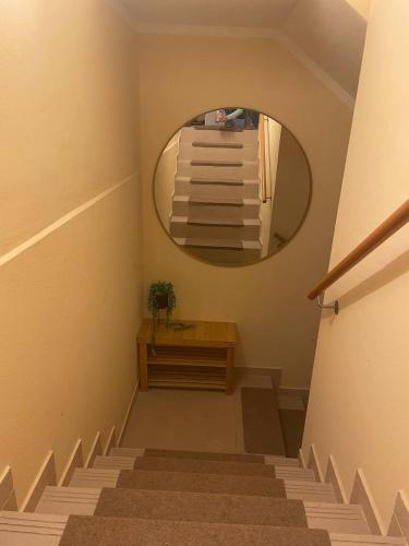 City Oase, House floor, fitness, garden, jacuzzi, close to subway U1, Wien (Foto 9)
