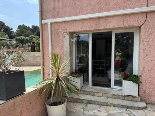Hibiscus, La Seyne-sur-Mer (zdjęcie 10)