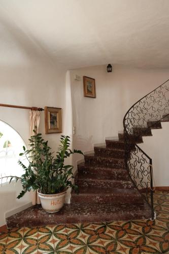 Hotel Don Pedro - image 4