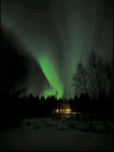 花園, Arctic Lake House Miekojärvi (Arctic Lake House Miekojarvi) in 拉姆普西耶爾維