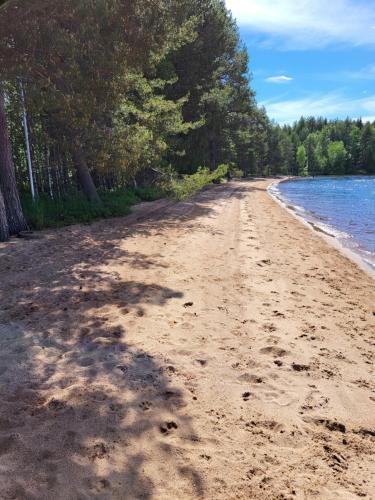 花園, Arctic Lake House Miekojärvi (Arctic Lake House Miekojarvi) in 拉姆普西耶爾維