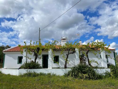 A szálláshely kívülről, Tapada da Figueira by NaturAlegre in Arronches
