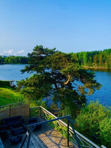 Lakeside Moss in Moss