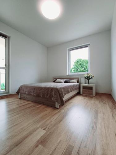 Apartament Kolejowa 16