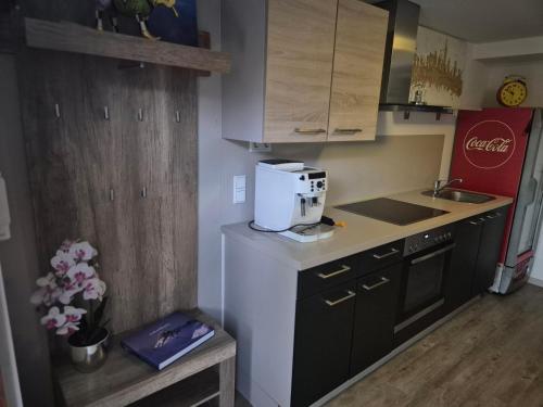 Haus Aigner Appartement in Hard