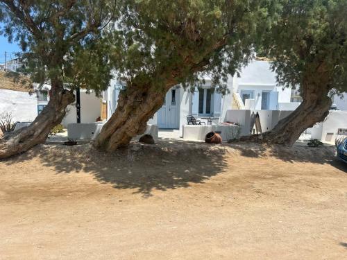 Almires 1-Stay 20m from Aegean Sea in Cherronisos