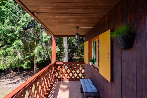 FOREST, lake, FIREFLIES, campfire - WHAT ELSE in Kunzak