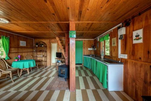 FOREST, lake, FIREFLIES, campfire - WHAT ELSE in Kunzak