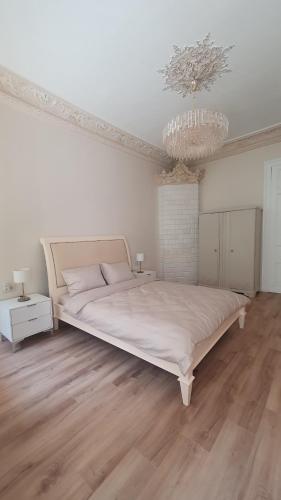 Large, new apartment in the historic centre