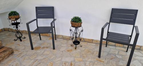 Dārzs, Casa de vacanta Musatesti in Vâlsănești