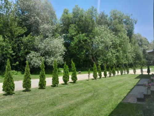 Domek nad Dunajcem in Stary Sącz