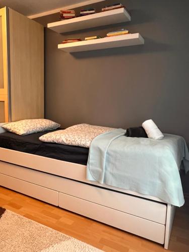 Zaremba - Apartament Rodzinny w Centrum