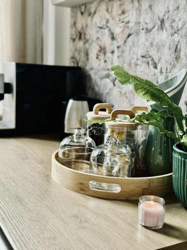 Apartament Zielony Stół no 2 z wanna w pokoju