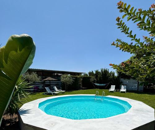 สระว่ายน้ำ, Monte do Bidé Private Farm Peace and Nature (Monte do Bide Private Farm Peace and Nature) in ปาลเมรา