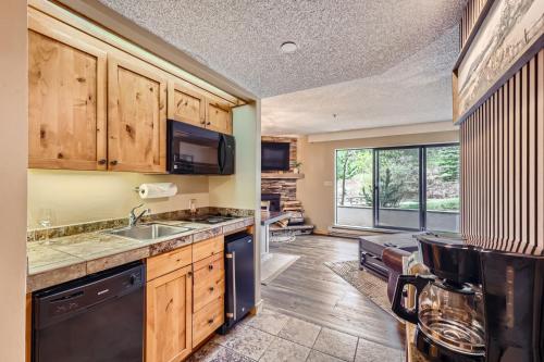 Beaver Run, King Studio, Ground Floor, Dog Friendly, Breckenridge (foto 6)