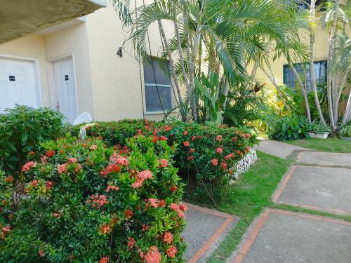 comfortable and beautiful apartment near General José Antonio Anzoátegui International Airport