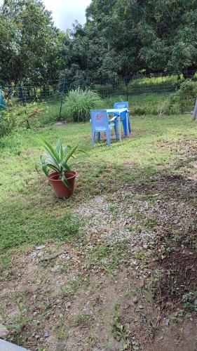 Le jardin des manguiers in Kourou