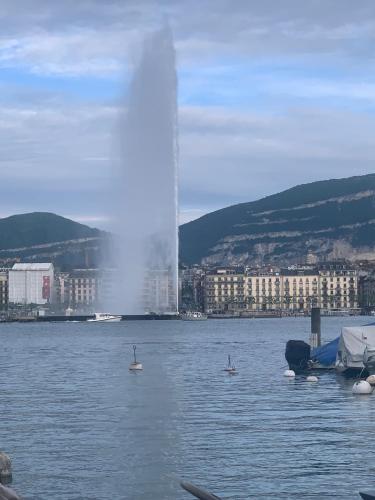 Cosy and functional apartment close to Cornavin, Geneva (photo 8)