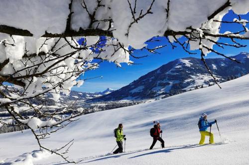 Zu Hause in Tirol