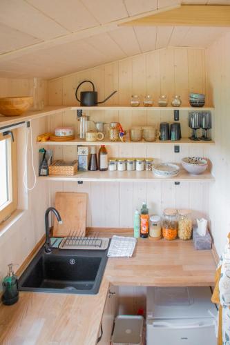 Tiny u koniku in Prague 16