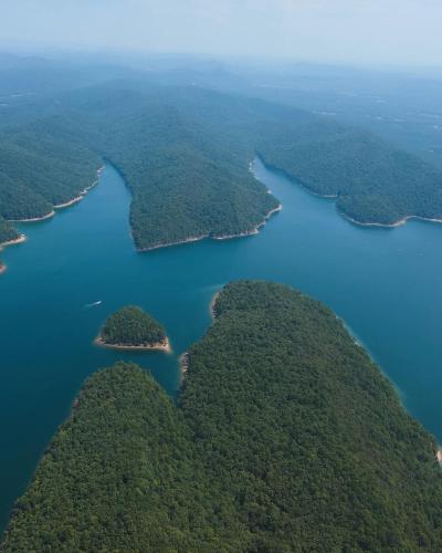The Beehive in Lake Hamilton, USA