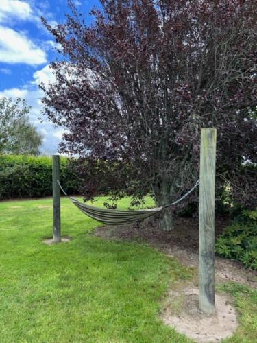 40 Winks in Otorohanga