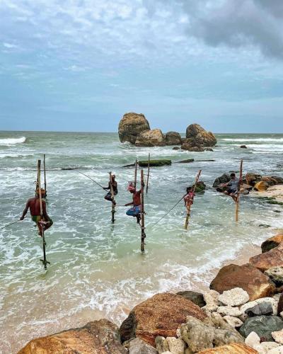 Ahangama Surf Club - image 5
