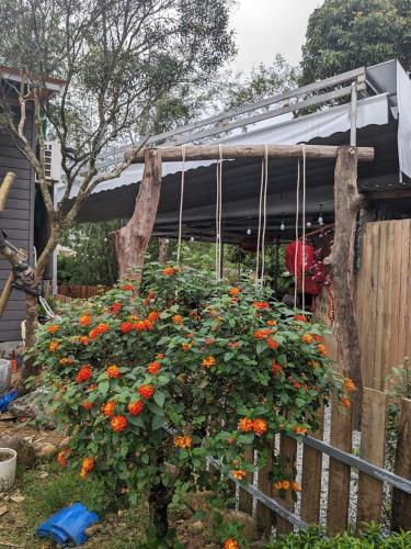 CODO Chill House-With Garden in Bach Ma National Park