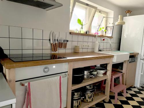 Domek Želiv (Domek Zeliv) in Zeliv