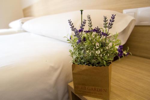 Hostal Barcelona Travel - image 8