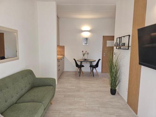 Superior Studio Apartment