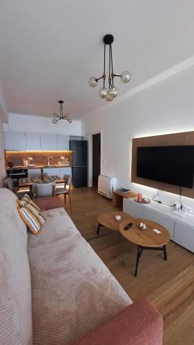 One-Bedroom Apartment image 10