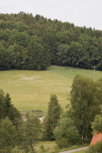 Idyllisch gelegene Ferienwohnung Franziska im Herzen des bayerischen Waldes in Zachenberg