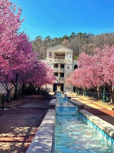 The Lodge at Lockett Creek Farm in Hot Springs Village, USA