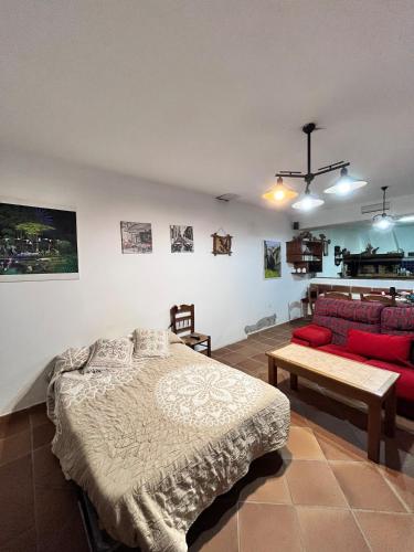 Basement with barbecue and patio, Ronda (photo 6)