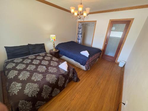 Cozy Budget Room in Central Location in Surrey F4 in Surrey, Canada