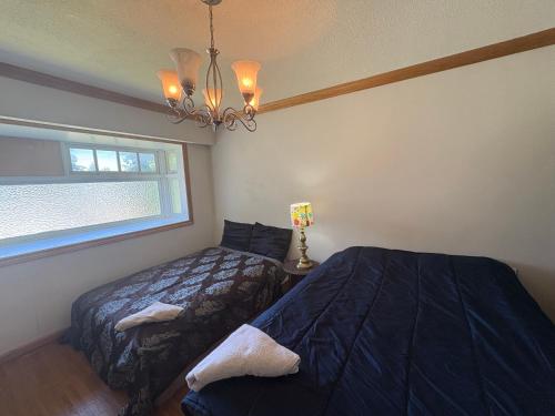 Cozy Budget Room in Central Location in Surrey F4 in Surrey, Canada