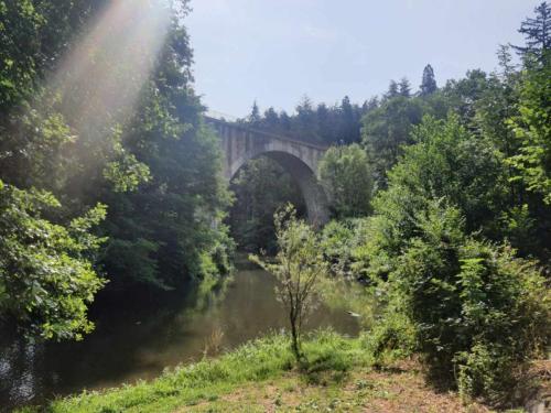 Skats, Ludogîte Graine de Jeux (Ludogite Graine de Jeux) in Espaly-Saint-Marcel